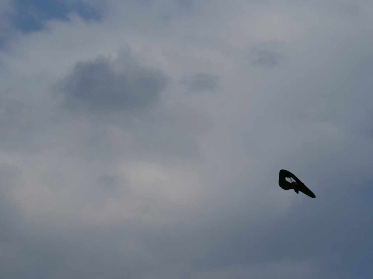 dsc05009